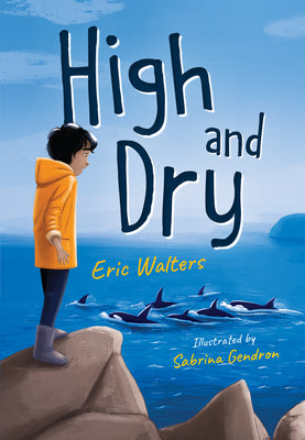 Cover Image for High and Dry -- Eric Walters, Paperback