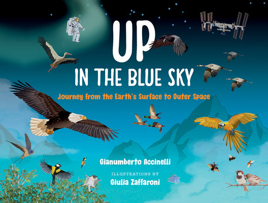 Cover Image for Up in the Blue Sky: Journey from the Earth's Surface to Outer Space -- Gianumberto Accinelli, Hardcover