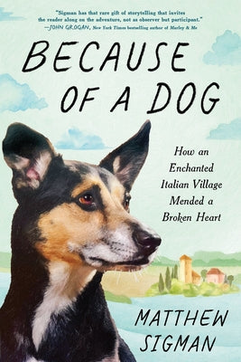 Cover Image for Because of a Dog: How an Enchanted Italian Village Mended a Broken Heart -- Matthew Sigman, Paperback