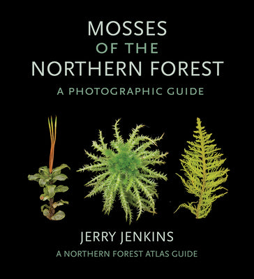 Cover Image for Mosses of the Northern Forest: A Photographic Guide -- Jerry Jenkins, Paperback