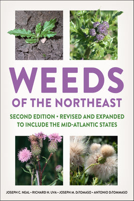 Cover Image for Weeds of the Northeast -- Joseph C. Neal, Paperback