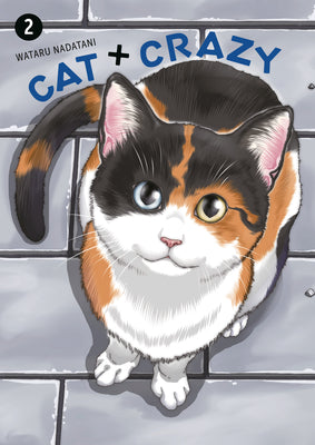Cover Image for Cat + Crazy Volume 2 -- Wataru Nadatani, Paperback
