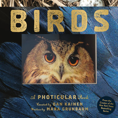 Cover Image for Birds: A Photicular Book -- Dan Kainen, Hardcover