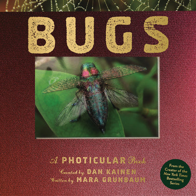 Cover Image for Bugs: A Photicular Book -- Dan Kainen, Hardcover
