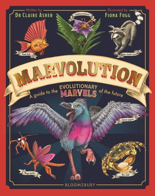 Cover Image for Marvolution -- Claire Asher, Hardcover