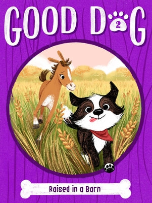 Cover Image for Raised in a Barn -- Cam Higgins, Hardcover