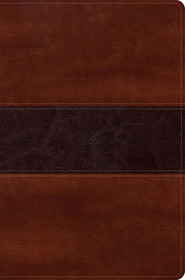 Cover Image for Rvr 1960 Biblia del Pescador Letra Grande, Caoba Símil Piel -- Luis Ángel Díaz-Pabón, Leather / Fine Binding