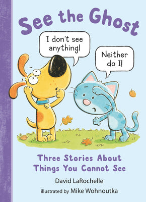 Cover Image for See the Ghost: Three Stories about Things You Cannot See -- David Larochelle, Hardcover