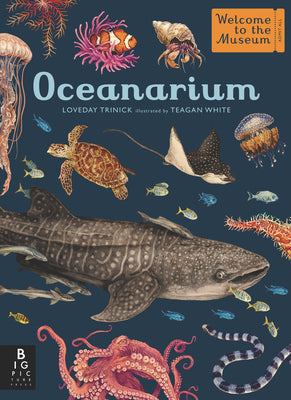 Cover Image for Oceanarium: Welcome to the Museum -- Loveday Trinick, Hardcover