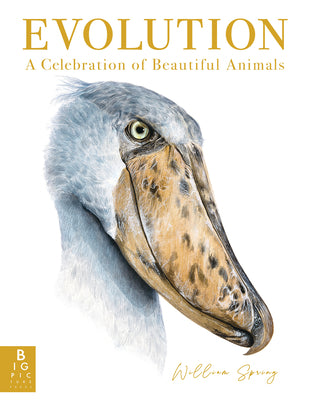 Cover Image for Evolution: A Celebration of Beautiful Animals -- William Spring, Hardcover