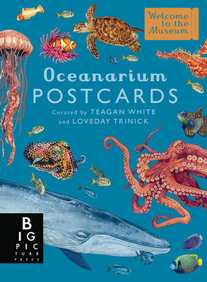 Cover Image for Oceanarium Postcard Box Set -- Loveday Trinick, Cards