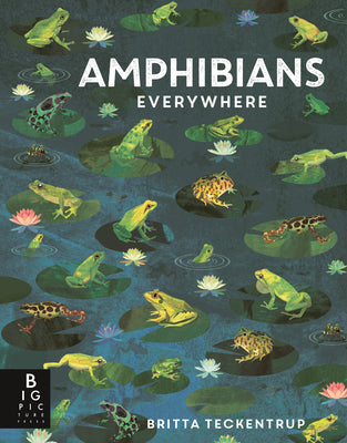 Cover Image for Amphibians Everywhere: (A Kids' Nonfiction Science and Nature Book about Frogs, Toads, Newts, Salamanders, and Habitats for Ages 6-9) -- Camilla de La Bedoyere, Hardcover