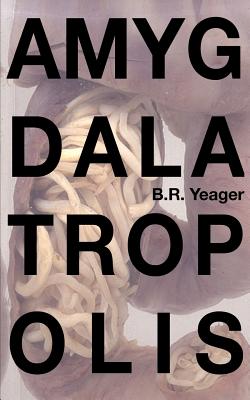 Cover Image for Amygdalatropolis -- Edia Connole, Paperback