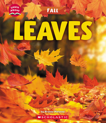 Cover Image for Leaves (Learn About: Fall) -- Brenna Maloney, Hardcover