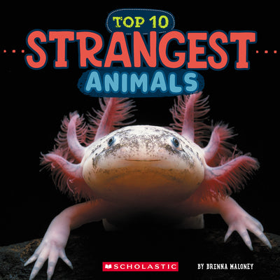 Cover Image for Strangest Animals (Wild World: Top 10) -- Brenna Maloney, Paperback