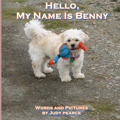 Cover Image for Hello, My Name Is Benny -- Judy Pearce, Paperback