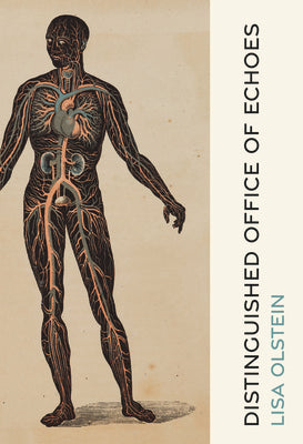 Cover Image for Distinguished Office of Echoes -- Lisa Olstein, Hardcover
