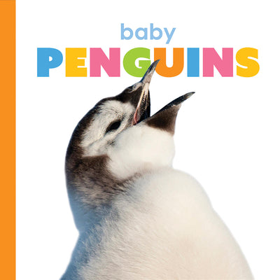 Cover Image for Baby Penguins -- Kate Riggs, Board Books