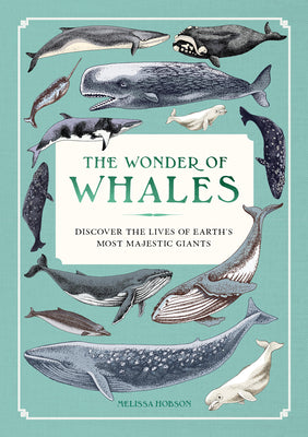 Cover Image for The Wonder of Whales: Discover the Lives of Earth's Most Majestic Giants -- Melissa Hobson, Hardcover