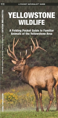 Cover Image for Yellowstone Wildlife: A Folding Pocket Guide to Familiar Animals of the Yellowstone Area -- James Kavanagh, Other