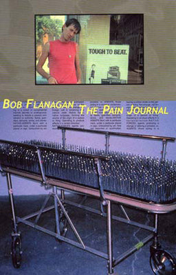 Cover Image for The Pain Journal -- Bob Flanagan, Paperback