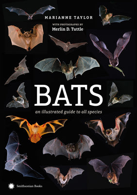 Cover Image for Bats: An Illustrated Guide to All Species -- Marianne Taylor, Hardcover