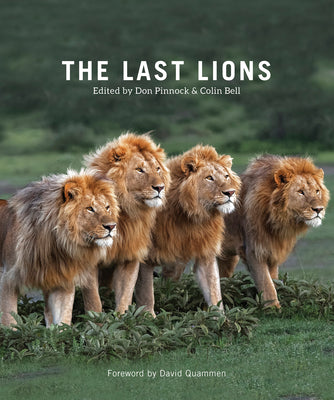 Cover Image for The Last Lions -- Don Pinnock, Paperback