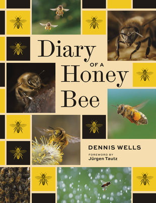 Cover Image for Diary of a Honey Bee -- Dennis Wells, Hardcover
