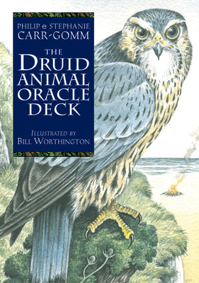 Cover Image for The Druid Animal Oracle Deck -- Philip Carr-Gomm, Paperback