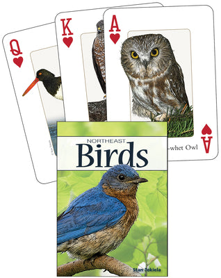 Cover Image for Birds of the Northeast Playing Cards -- Stan Tekiela, Other