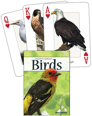 Cover Image for Birds of the Northwest Playing Cards -- Stan Tekiela, Other