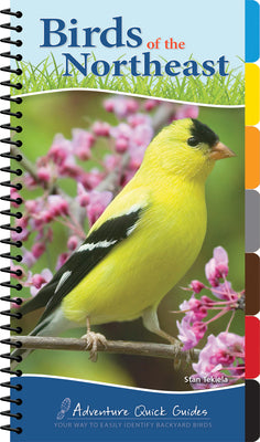 Cover Image for Birds of the Northeast: Your Way to Easily Identify Backyard Birds -- Stan Tekiela, Spiral