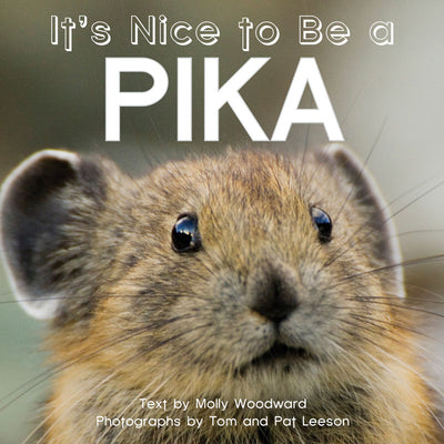 Cover Image for It's Nice to Be a Pika -- Molly Woodward, Board Books