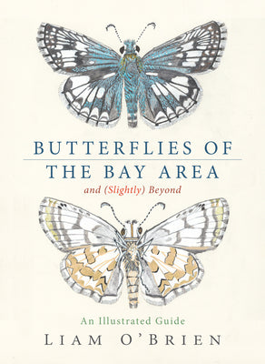 Cover Image for Butterflies of the Bay Area and (Slightly) Beyond: An Illustrated Guide -- Liam O'Brien, Hardcover