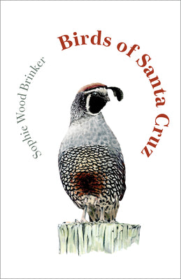 Cover Image for Birds of Santa Cruz -- Sophie Wood Brinker, Hardcover