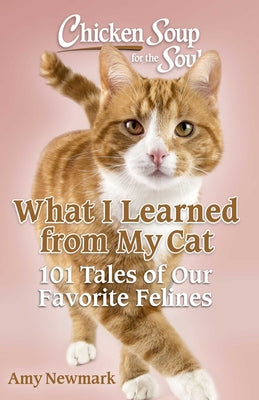 Cover Image for Chicken Soup for the Soul: What I Learned from My Cat: 101 Tales of Our Favorite Felines -- Amy Newmark, Paperback