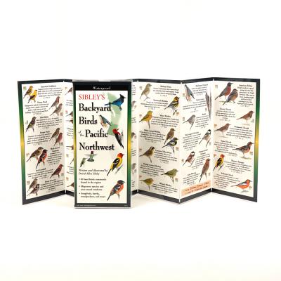 Cover Image for Sibley's Back. Birds of Pacific Northwest -- David Allen Sibley, Other