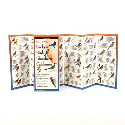 Cover Image for Sibley's Back. Birds of Southern California -- David Allen Sibley, Other