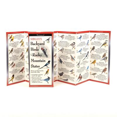 Cover Image for Sibley's Back. Birds of Rocky Mountain States -- David Allen Sibley, Other