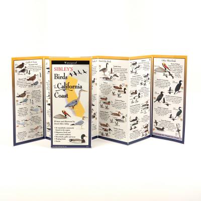 Cover Image for Sibley's Birds of the California Coast -- David Allen Sibley, Other