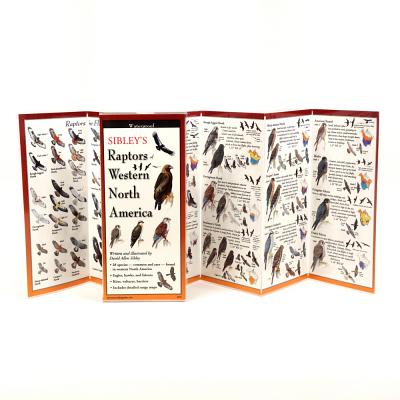 Cover Image for Sibley's Raptors of Western N. America -- David Allen Sibley, Other