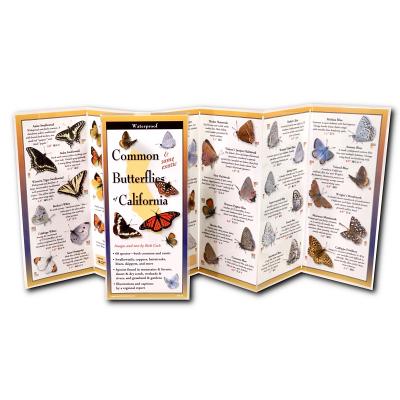 Cover Image for Common Butterflies of California -- Rick Cech, Other