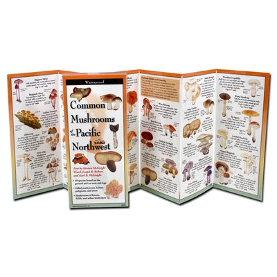 Cover Image for Common Mushrooms of the Pacific Northwest -- Kirsten McKnight Ward, Other