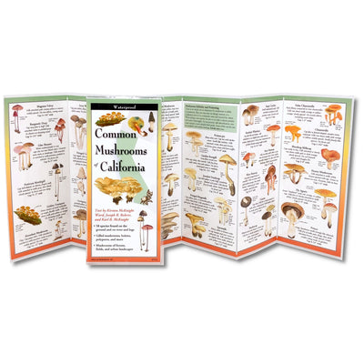 Cover Image for Common Mushrooms of California -- Kirsten McKnight Ward, Other