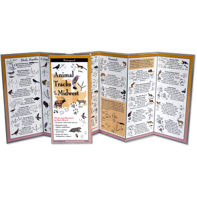 Cover Image for Animal Tracks of the Midwest -- Mark Elbroch, Poster