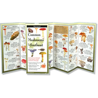 Cover Image for Common Mushrooms of the Southeast -- Kirsten McKnight Ward, Other