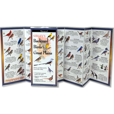 Cover Image for Sibley's Backyard Birds of the Great Plains -- Sibley Allen David, Other