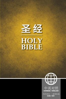 Cover Image for Chinese/English Bilingual Bible-PR-FL/NIV -- Zondervan, Paperback