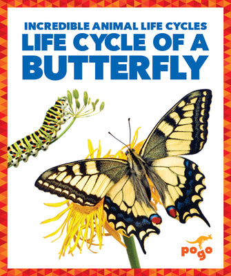 Cover Image for Life Cycle of a Butterfly -- Karen Kenney, Paperback