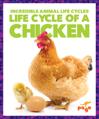 Cover Image for Life Cycle of a Chicken -- Karen Kenney, Paperback